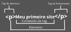 Anatomia do elemento
